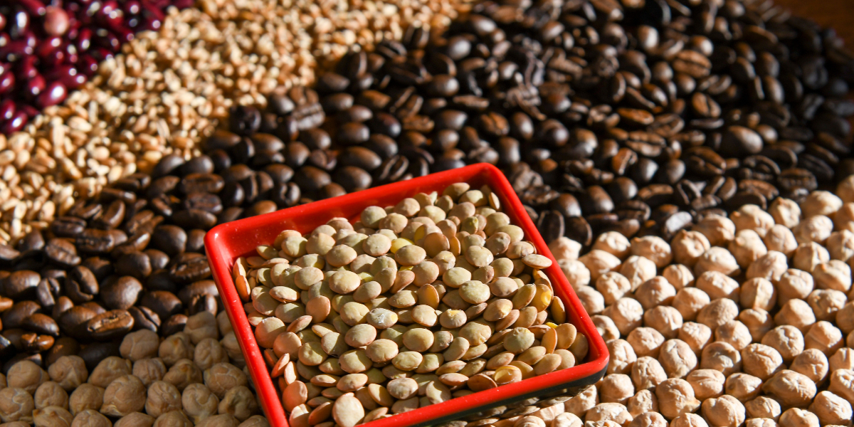 Future Outlook of Functional Food Market (2026 to 2030)