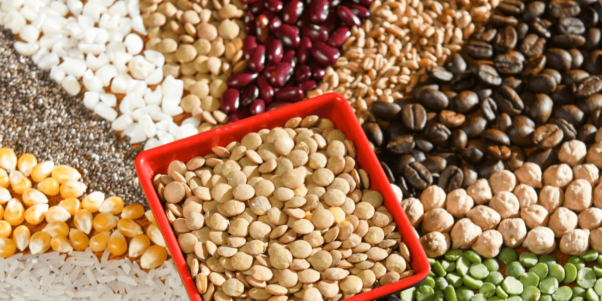 How Food Brands Are Closing the Loop