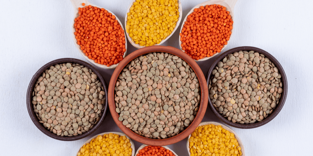 Key Differences Between Protein Sources that Shape Your Food Choices