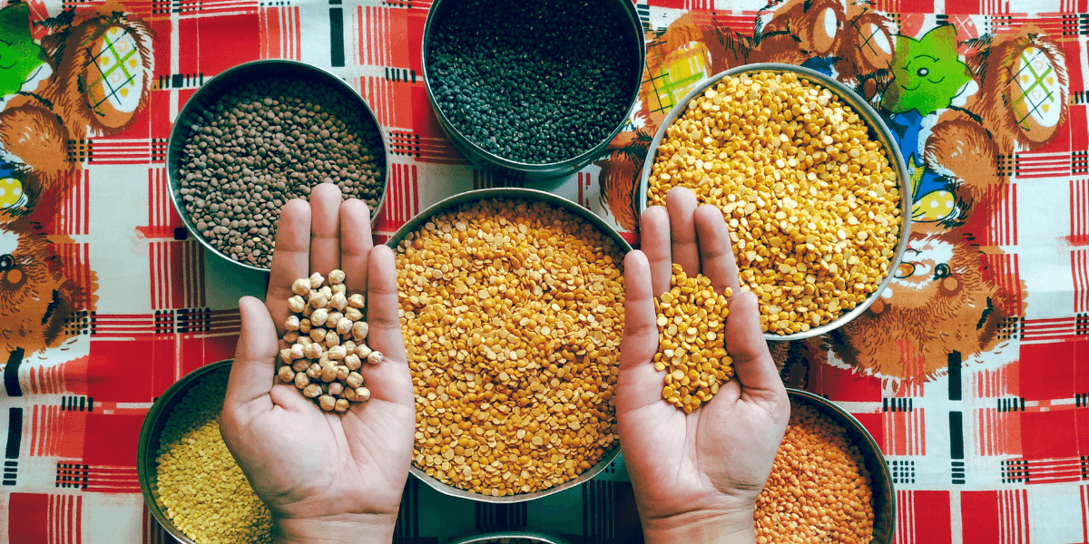 Pulses as a Foundation for Future Diets