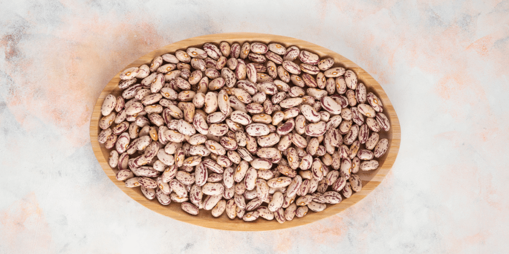 Top Supplier for Bulk Cranberry Beans in Montana and Beyond