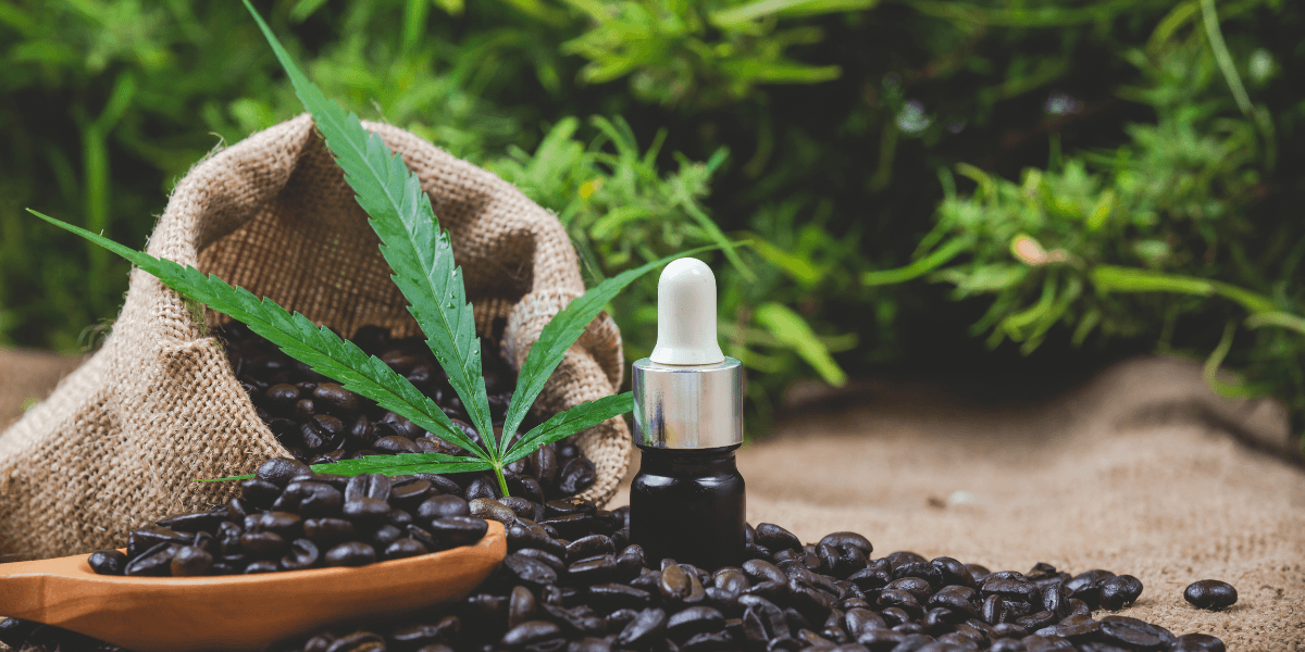 Types of Hemp Byproducts