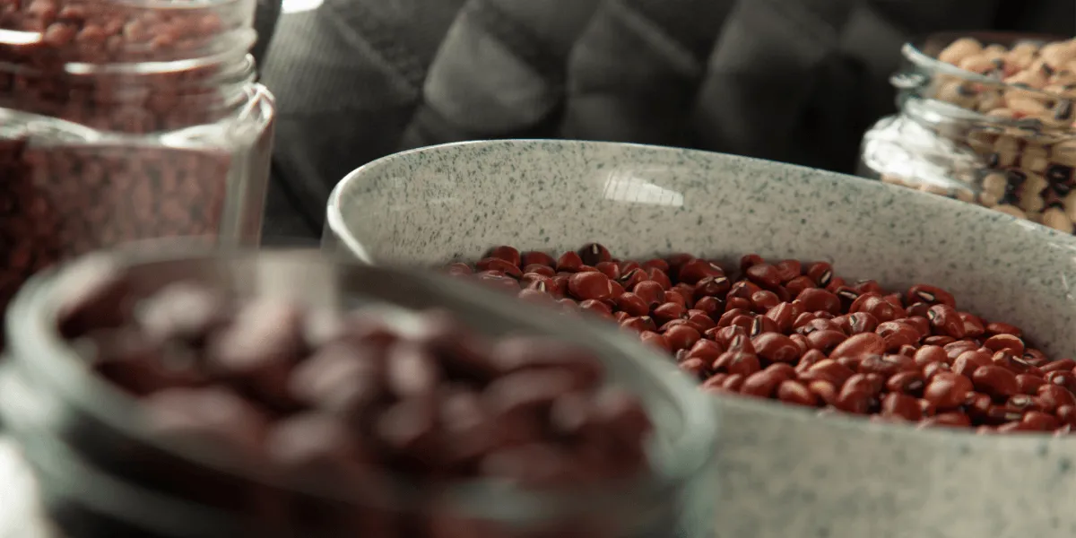 Why Pinto Beans Fit Perfectly Into Affordable Food Solutions