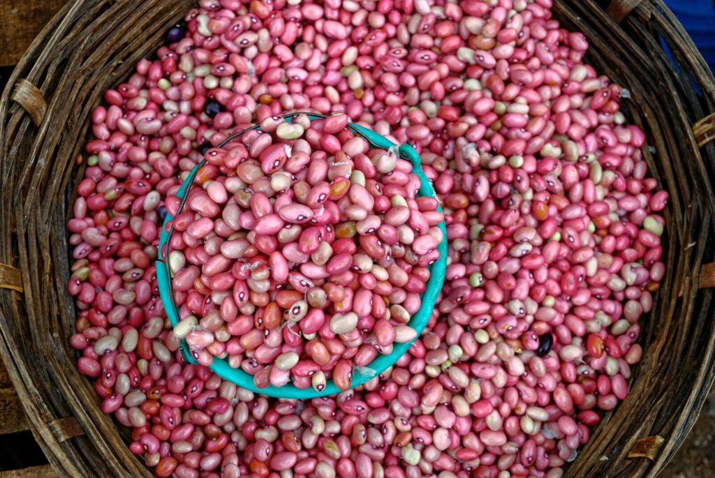 Top view of a basket filled with vibrant pink beans, highlighting their fresh and natural appeal.