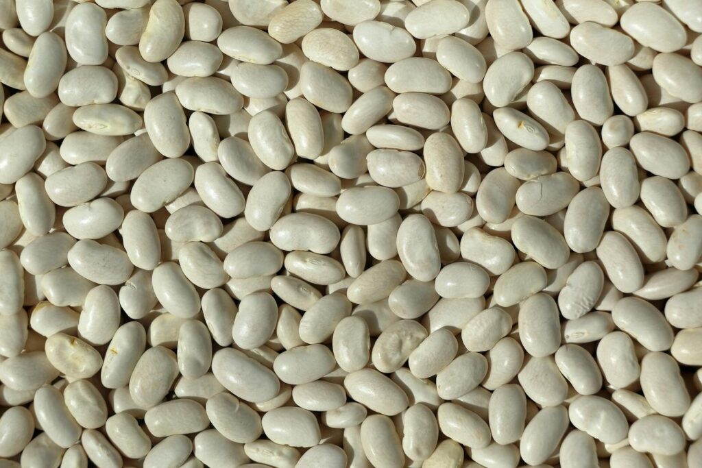 High-resolution image of white beans, ideal for culinary and agricultural themes.