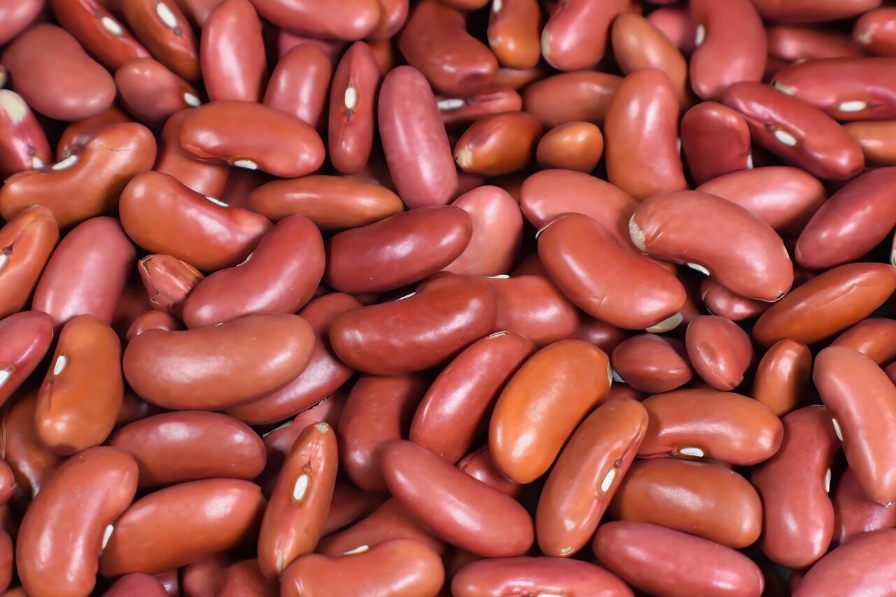 kidney beans, red beans, beans, food, vegetables, uncooked, home cooking, comfort food, meal, kidney beans, kidney beans, kidney beans, kidney beans, kidney beans, red beans, beans, beans