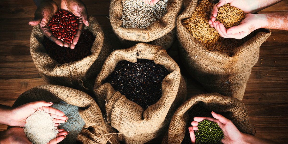A diverse group of hands holding various bags filled with different types of grains, showcasing a range of textures and colors.