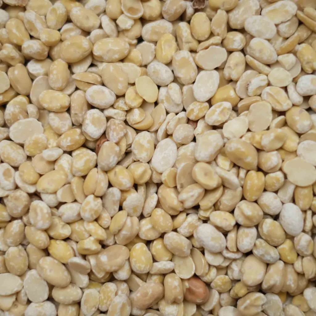 split fava beans