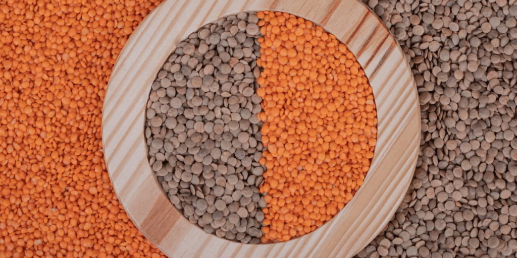 Red Lentils vs. Green Lentils: Right for Your Food Manufacturing Line?