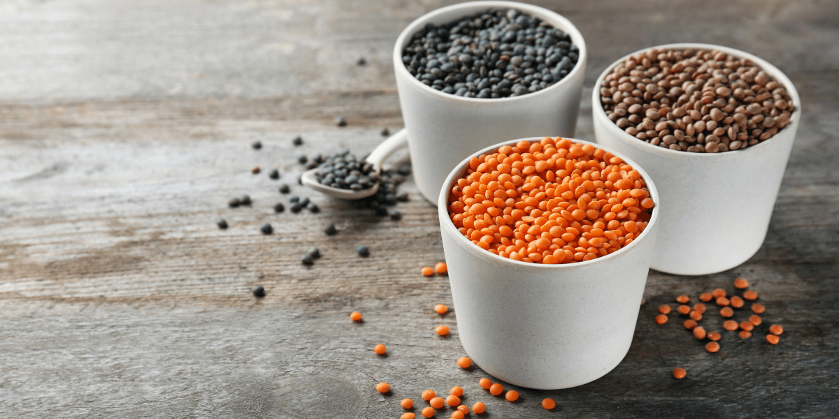 Three white cups filled with a mix of black and orange seeds arranged on a neutral background.