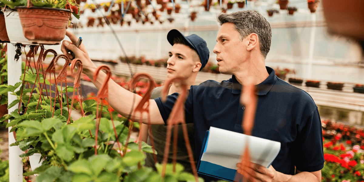  Two men examining various plants inside a greenhouse, surrounded by greenery and natural light.
