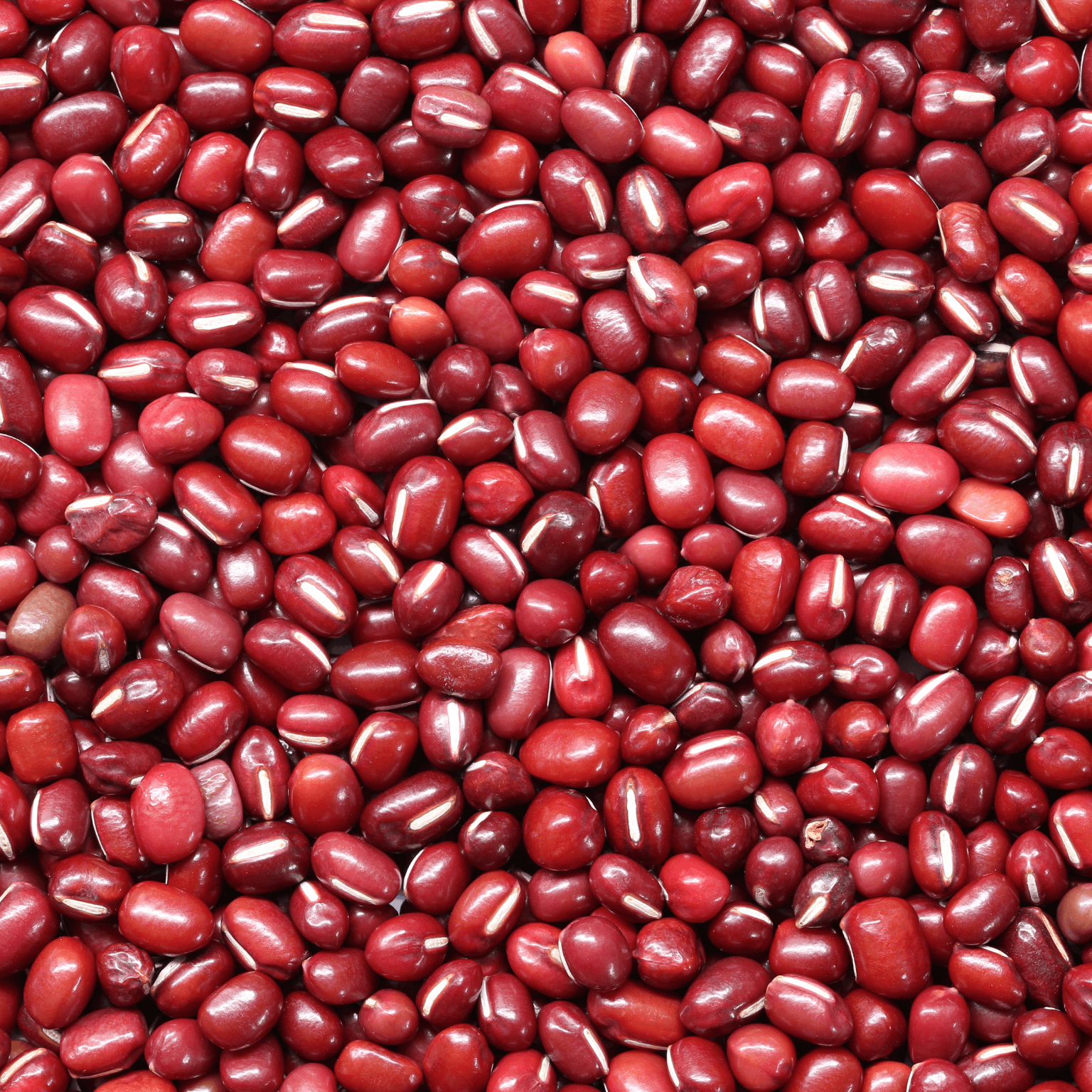 Close-up view of shiny red beans, showcasing their smooth texture and rich color against a neutral background.