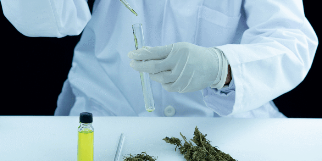 USDA Organic Certification for Hemp and Pulse Ingredients: Is It Worth the Premium?