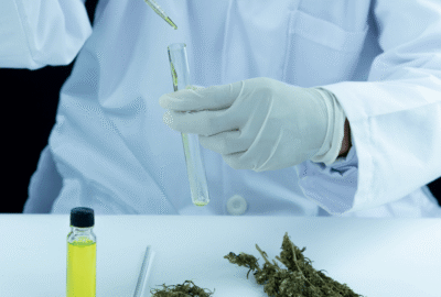 USDA Organic Certification for Hemp and Pulse Ingredients: Is It Worth the Premium?