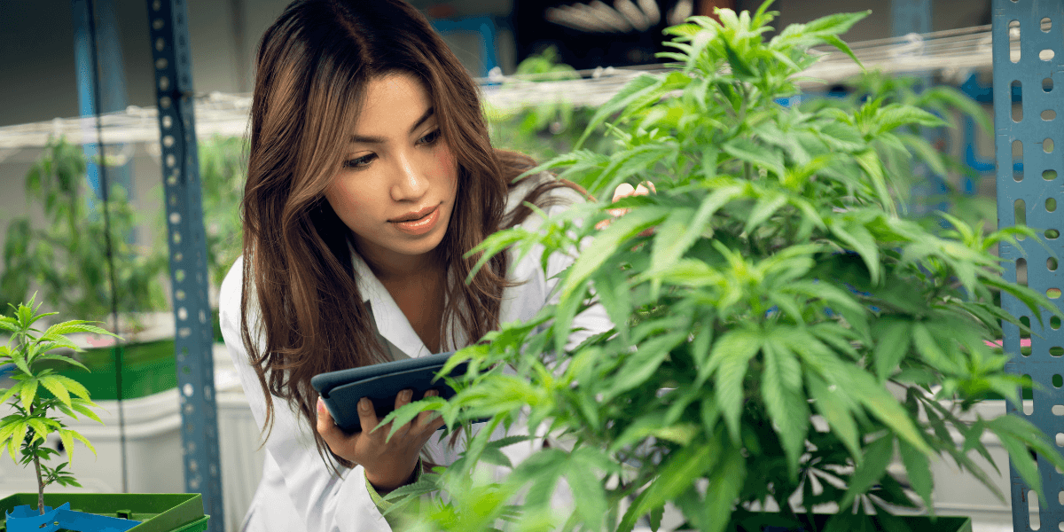 A woman in a lab coat examines a green plant, showcasing her focus on botanical research.